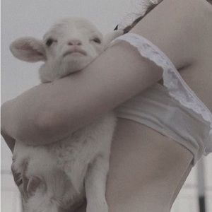 Meet your Posher, Angel